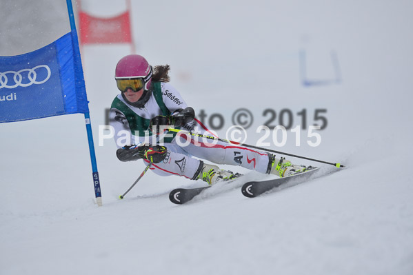 FIS + NJR Rennen Damen + Herren RS 2015