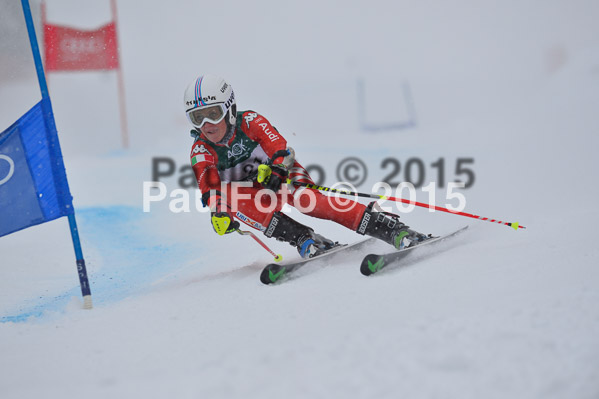 FIS + NJR Rennen Damen + Herren RS 2015