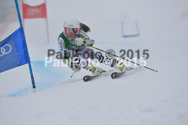 FIS + NJR Rennen Damen + Herren RS 2015