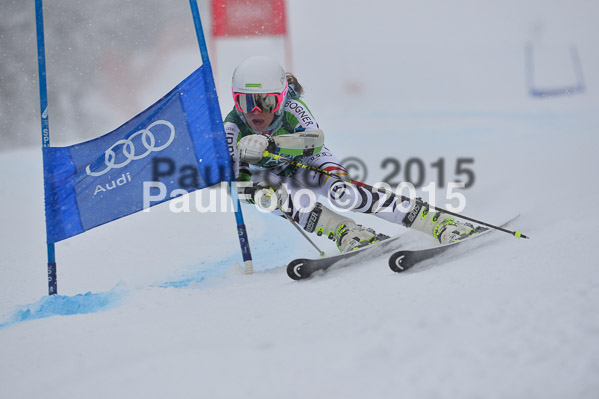 FIS + NJR Rennen Damen + Herren RS 2015