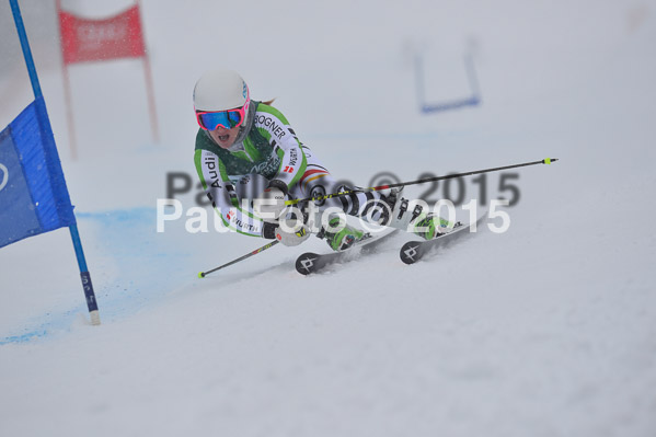 FIS + NJR Rennen Damen + Herren RS 2015