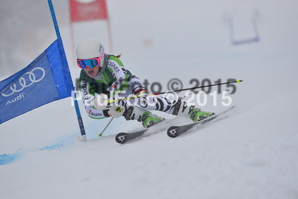 FIS + NJR Rennen Damen + Herren RS 2015