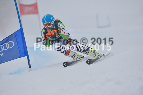 FIS + NJR Rennen Damen + Herren RS 2015