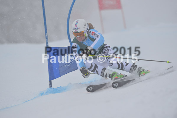 FIS + NJR Rennen Damen + Herren RS 2015