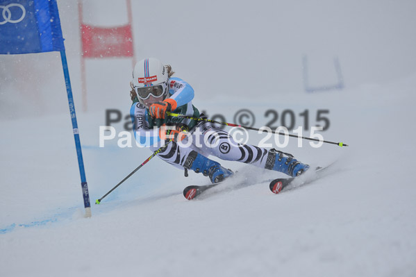 FIS + NJR Rennen Damen + Herren RS 2015