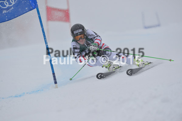 FIS + NJR Rennen Damen + Herren RS 2015