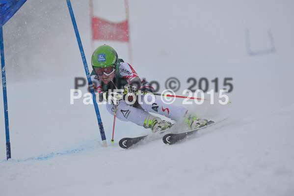 FIS + NJR Rennen Damen + Herren RS 2015