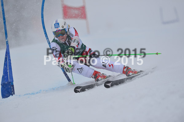 FIS + NJR Rennen Damen + Herren RS 2015