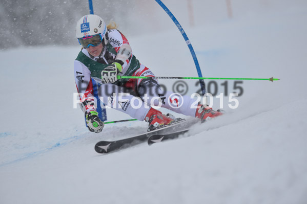 FIS + NJR Rennen Damen + Herren RS 2015