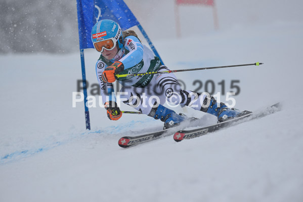 FIS + NJR Rennen Damen + Herren RS 2015