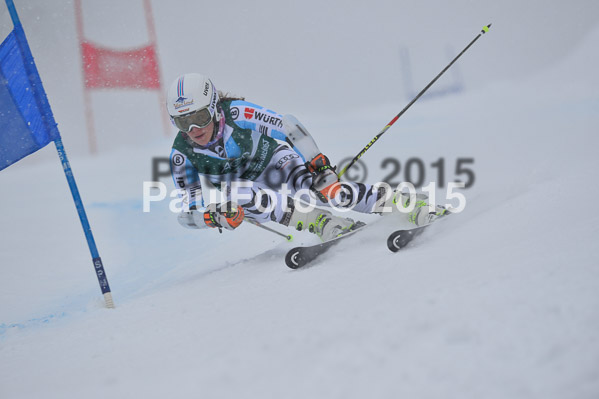 FIS + NJR Rennen Damen + Herren RS 2015