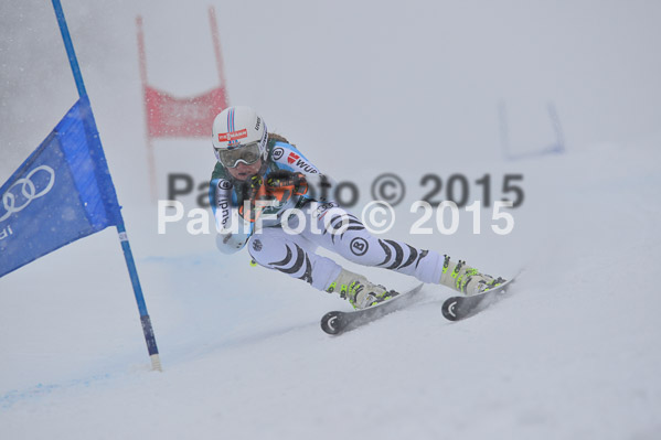 FIS + NJR Rennen Damen + Herren RS 2015