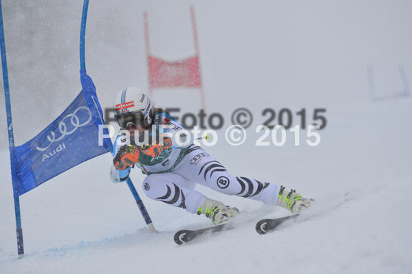 FIS + NJR Rennen Damen + Herren RS 2015