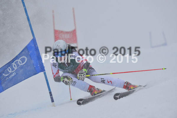 FIS + NJR Rennen Damen + Herren RS 2015