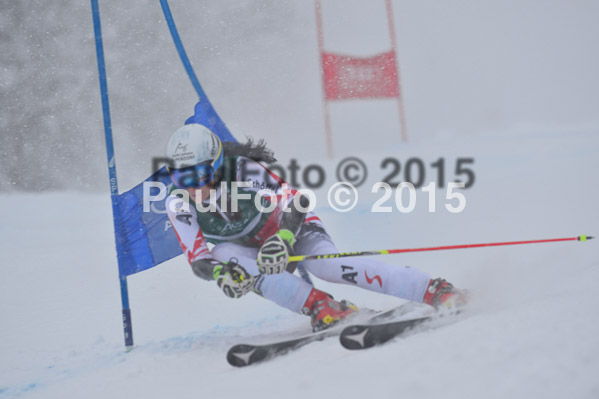 FIS + NJR Rennen Damen + Herren RS 2015