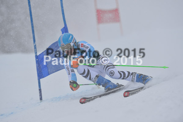 FIS + NJR Rennen Damen + Herren RS 2015