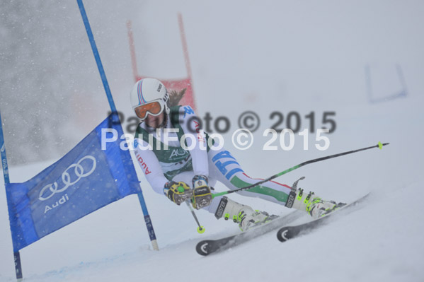 FIS + NJR Rennen Damen + Herren RS 2015