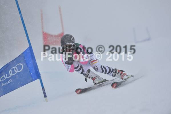 FIS + NJR Rennen Damen + Herren RS 2015