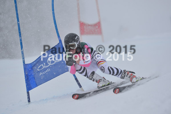 FIS + NJR Rennen Damen + Herren RS 2015