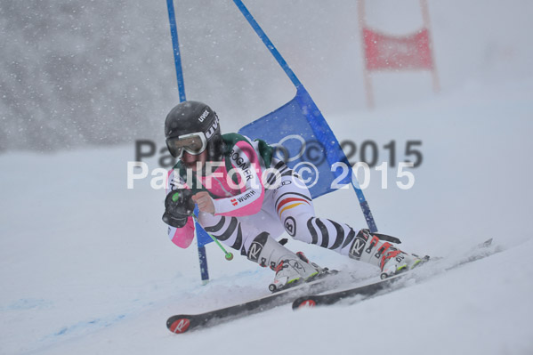 FIS + NJR Rennen Damen + Herren RS 2015