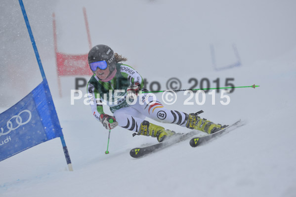 FIS + NJR Rennen Damen + Herren RS 2015