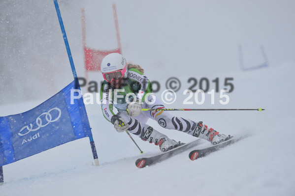 FIS + NJR Rennen Damen + Herren RS 2015