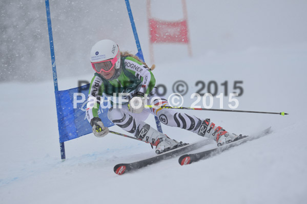 FIS + NJR Rennen Damen + Herren RS 2015