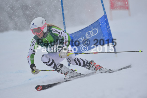 FIS + NJR Rennen Damen + Herren RS 2015