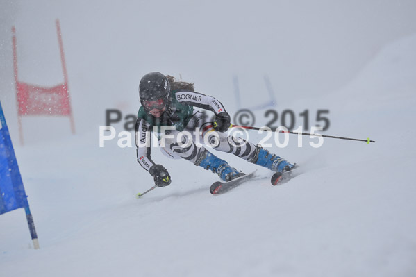 FIS + NJR Rennen Damen + Herren RS 2015