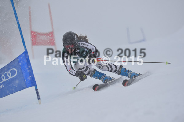 FIS + NJR Rennen Damen + Herren RS 2015