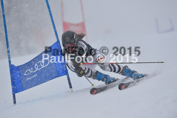 FIS + NJR Rennen Damen + Herren RS 2015