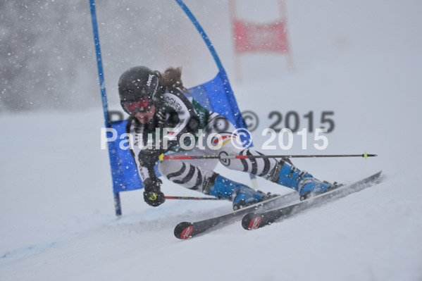 FIS + NJR Rennen Damen + Herren RS 2015