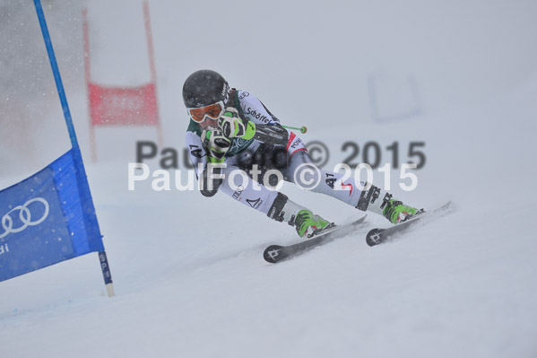 FIS + NJR Rennen Damen + Herren RS 2015