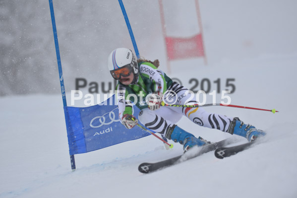 FIS + NJR Rennen Damen + Herren RS 2015