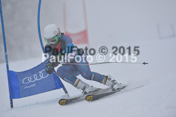 FIS + NJR Rennen Damen + Herren RS 2015