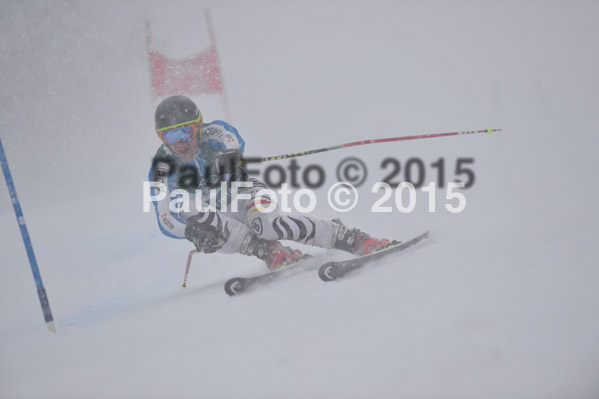 FIS + NJR Rennen Damen + Herren RS 2015