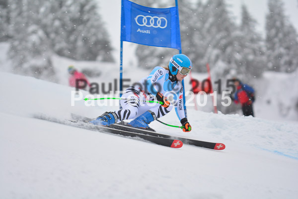 FIS SG + NJC Superkombi Damen 2015