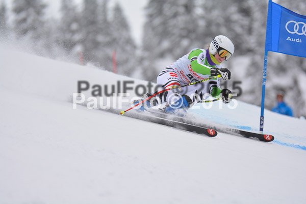 FIS SG + NJC Superkombi Damen 2015