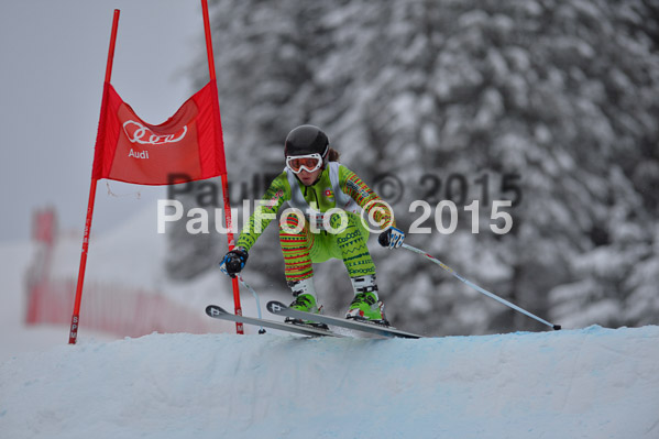 FIS SG + NJC Superkombi Damen 2015