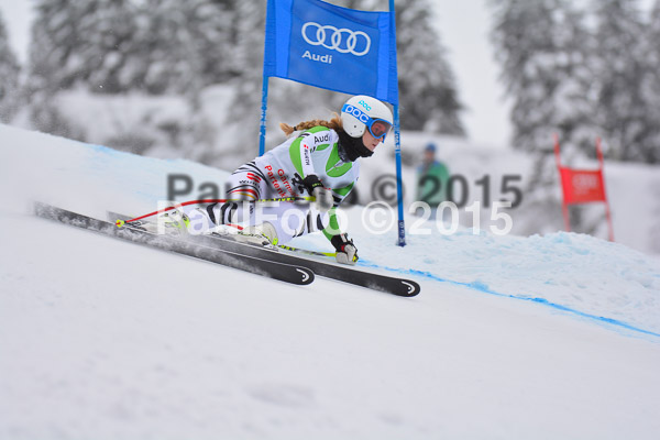 FIS SG + NJC Superkombi Damen 2015