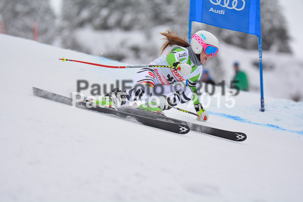 FIS SG + NJC Superkombi Damen 2015