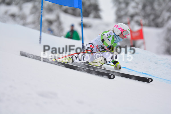 FIS SG + NJC Superkombi Damen 2015