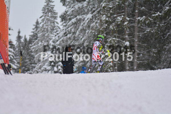 FIS SG + NJC Superkombi Damen 2015