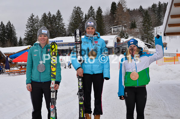 FIS SG + NJC Superkombi Damen 2015