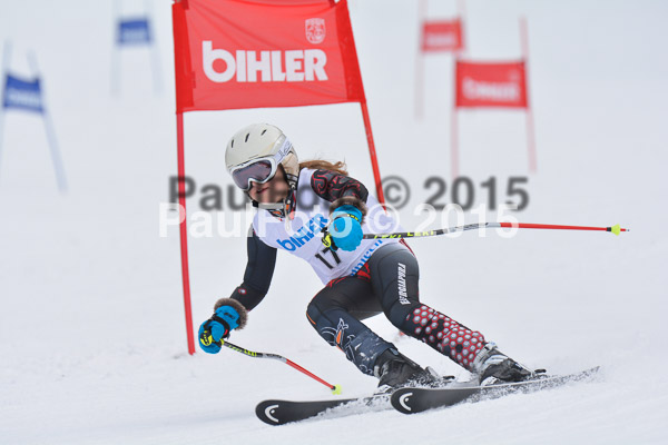 Armins Sorthäusle Pokal 2015