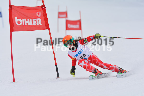 Armins Sorthäusle Pokal 2015