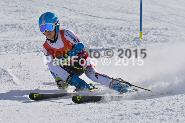 FIS-CIT RS + Bay. Jugendms 2015