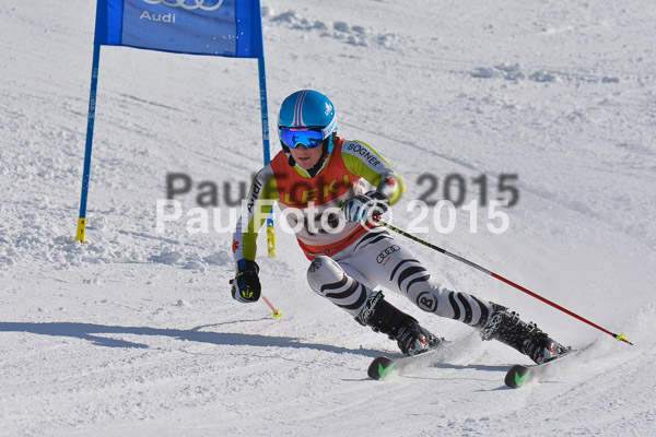 FIS-CIT RS + Bay. Jugendms 2015