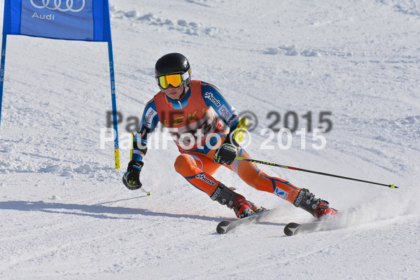 FIS-CIT RS + Bay. Jugendms 2015