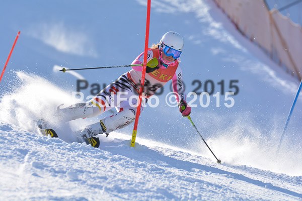 FIS-CIT SL + Bay. Jugendms 2015